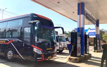 Ứng phó biến động xăng dầu: Người dân, doanh nghiệp xoay xở giữ nhịp sản xuất