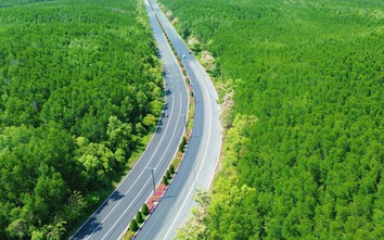 Hơn 5.000 vận động viên tham gia VnExpress Marathon Green Paradise Cần Giờ