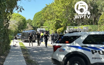 Tiger Woods bị bắt sau tai nạn giao thông