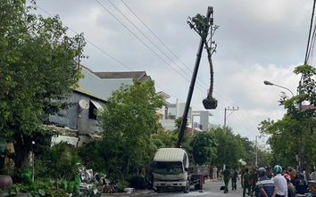 Bản tin TNGT 31/3: Xe cẩu chạm dây điện phát nổ, tài xế tử vong ở Lâm Đồng