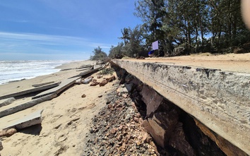 Quảng Ngãi đầu tư tuyến kè biển gần 1.000 tỷ đồng chống sạt lở