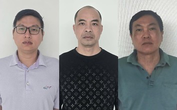 Tuyên Quang: Khởi tố ba giám đốc công ty vì trốn thuế