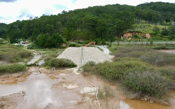 Lâm Đồng siết chặt quản lý, bình ổn thị trường vật liệu xây dựng