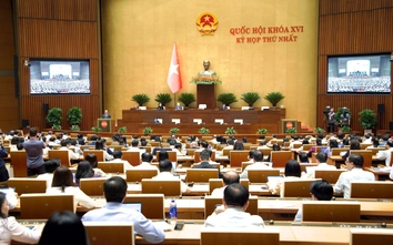 Trình Quốc hội cơ chế đặc thù xử lý vi phạm đất đai, tháo gỡ vướng mắc dự án tồn đọng