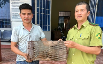 Lâm Đồng: Bắt được tê tê quý hiếm, nam tài xế tự nguyện giao nộp cơ quan chức năng