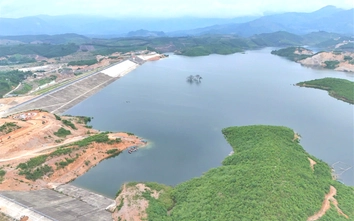 Phú Thọ: Tăng cường xử lý vi phạm trong phạm vi bảo vệ công trình thủy lợi