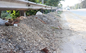 Người dân khốn khổ vì xe chở dăm gỗ rơi vãi, nguy cơ mất ATGT đoạn qua Dung Quất