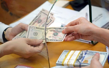 Cảnh báo thủ đoạn thuê người đi mua ngoại tệ nhằm trục lợi