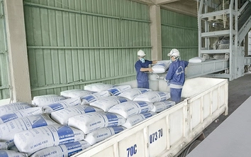 Gần 10 triệu tấn xi măng, clinker xuất khẩu sau 3 tháng: Tín hiệu lạc quan từ thị trường