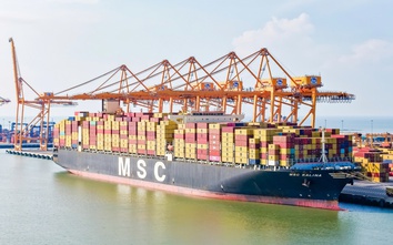 Bổ sung 4 bến cảng mới, hệ thống cảng biển Việt Nam có 309 bến