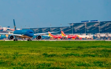 Hàng không siết an toàn khu bay, chủ động ngăn chim, động vật xâm nhập