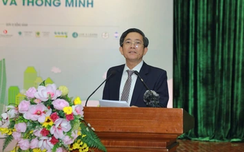 Đà Nẵng thúc đẩy chuyển đổi xanh, hướng tới đô thị sinh thái và thông minh