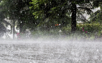 Yêu cầu chủ động ứng phó dông lốc, mưa đá