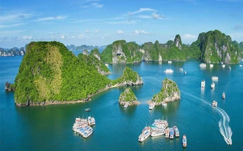 Phê duyệt nhiệm vụ quy hoạch bảo tồn, phục hồi vịnh Hạ Long đến 2050