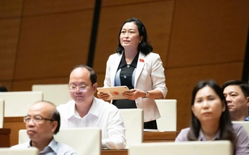 Đại biểu đề xuất mở rộng giám sát mô hình chính quyền hai cấp