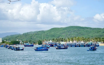 Gia Lai: Giải bản tàu cá không đủ điều kiện hoạt động, hỗ trợ ngư dân chuyển đổi nghề