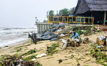 Đà Nẵng chi gần 500 tỷ đồng xây dựng khẩn cấp kè bảo vệ sông Thu Bồn và chống xói lở biển