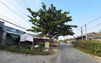 Cần Thơ gỡ vướng hai dự án giao thông vốn đầu tư hơn 2.000 tỷ đồng