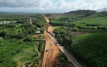 Gia Lai chuyển đổi gần 53ha rừng phục vụ tuyến đường trọng điểm