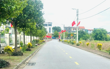 Thu hồi danh hiệu xã nông thôn mới nếu thiếu từ 4 tiêu chí