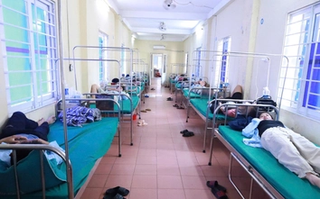 Phát hiện vi khuẩn Salmonella trong bánh mỳ gây ra vụ ngộ độc ở Nghệ An