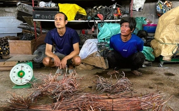 Bắt đối tượng cắt trộm gần 1km cáp điện trên cao tốc Bến Lức - Long Thành