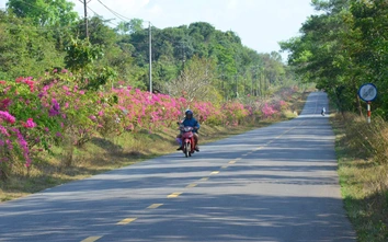 Đồng Nai nâng cấp trục Mã Đà - Vành đai 4 lên 6 làn xe, tăng lực kết nối liên vùng
