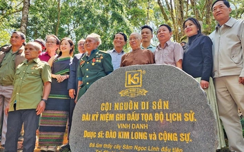 Cây “thuốc giấu” thành "quốc bảo"