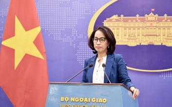 Xác minh thông tin hàng trăm công dân Việt bị bắt vì nghi lừa đảo tại Indonesia, Campuchia