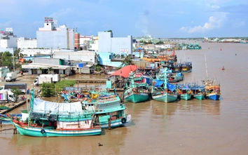 Chống khai thác IUU: Cà Mau siết chặt giám sát, truy xuất nguồn gốc và chú trọng sinh kế