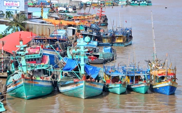 Giải bài toán hạ tầng - logistics và nguồn nhân lực phát triển kinh tế biển Cà Mau