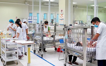 Gia tăng trẻ nhập viện do chó, mèo cắn