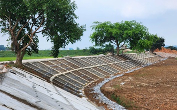 Bắc Ninh: Tăng tốc gia cố đê xung yếu trước cao điểm mùa mưa lũ