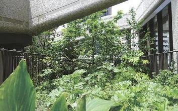 Mori Building expands green coverage, Hills projects reach 12 hectares of greenery in 2025