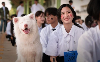 “Tạm biệt Gohan” lập kỷ lục tại rạp Việt với doanh thu hơn 30 tỷ đồng