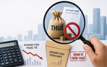 Từ 1/7, những hành vi nào được xác định là trốn thuế?