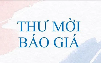 Cảng HKQT Nội Bài mời báo giá chậu cây xanh tại sảnh đón khách Nhà khách VIP A