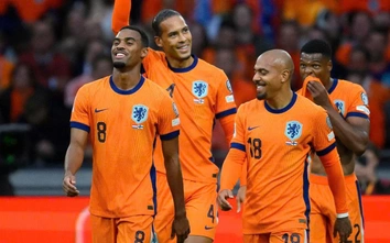 Nhận định bảng F World Cup 2026: Hà Lan và Nhật Bản tranh ngôi đầu