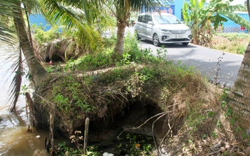 Cà Mau: Sạt lở đe dọa tuyến đường vào chùa Hưng Thiện