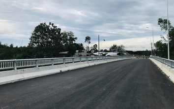 Đồng Nai chuyển hơn 8ha rừng để mở đường tại Thanh Sơn