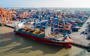 Phương án nào bảo đảm an toàn cho tàu tới 48.000 DWT giảm tải ra vào bến cảng Đình Vũ?