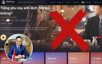 Vì sao website lậu vẫn “sống khỏe" dù bị xử lý liên tục?