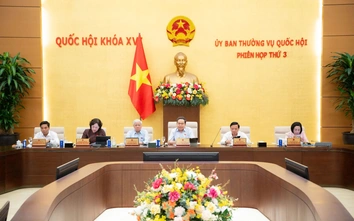Dự kiến thành lập 4 đoàn giám sát việc sử dụng trụ sở công tại 12 tỉnh, thành phố