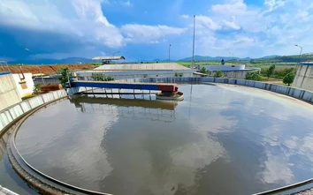 Những mảnh ghép xanh trong quy trình khép kín của trang trại bò sữa lớn nhất thế giới