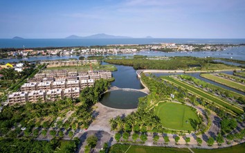 Đà Nẵng: Chiến dịch "1 tỷ xanh" nâng cao nhận thức bảo tồn thiên nhiên từ cộng đồng