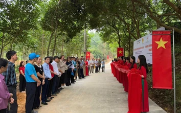 Nguồn vốn từ UNDP góp phần phục hồi hạ tầng, sinh kế sau thiên tai ở Thái Nguyên