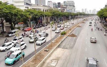 Hà Nội: Hàng cây mới trồng trên đường Võ Chí Công sẽ được xử lý thế nào?