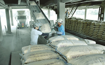 6 tháng đầu năm 2026: Tiêu thụ xi măng trong nước tăng 12,2% so cùng kỳ 2025