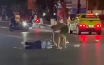 Hải Phòng bắt giữ đối tượng dùng dao tấn công người dân và công an