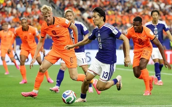 Link xem trực tiếp Hà Lan vs Thụy Điển (0h ngày 21/6), bảng F World Cup 2026